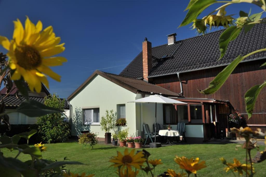 Ferienwohnung Nachtigall 布尔格 外观 照片